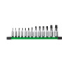 Set 13 Douilles Torx 1/4" 3/8" Milwaukee 4932480565 | Pro