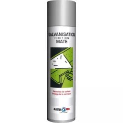 Galvanisation finition mate