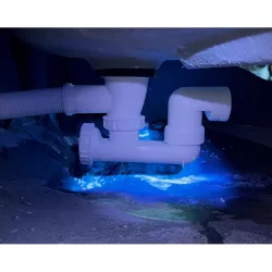 UV COLOR