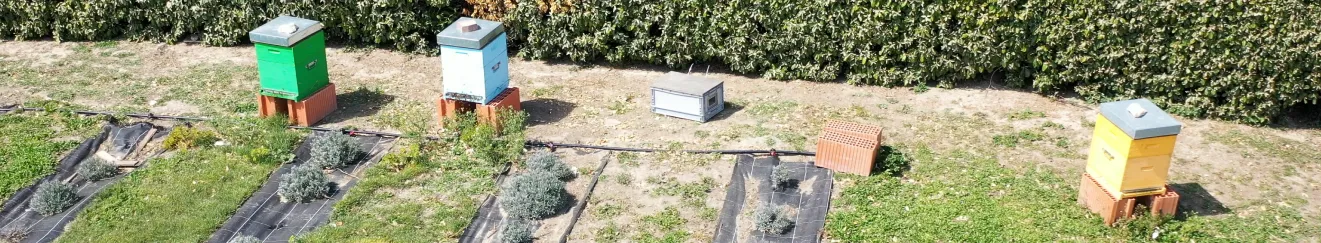 Les ruches chez FDS Pro