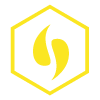 logo FDS