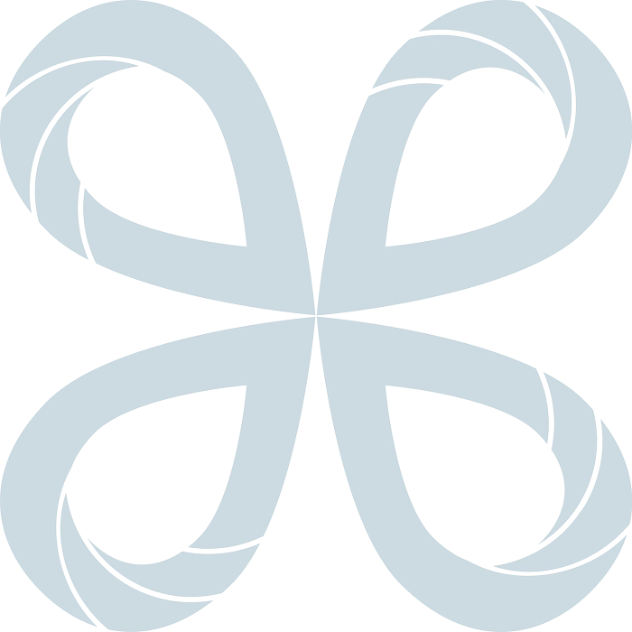 Ailettes du logo FDS PRO